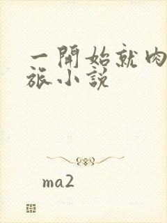 一开始就肉的军旅小说