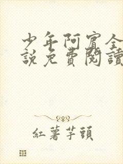 少年阿宾全文小说免费阅读笔趣阁