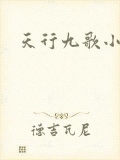 天行九歌小说