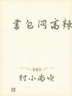 书包网高辣文封面