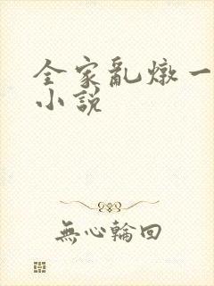 全家乱炖一锅烩小说