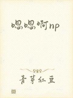 嗯嗯啊np