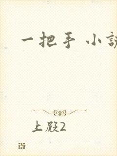 一把手 小说