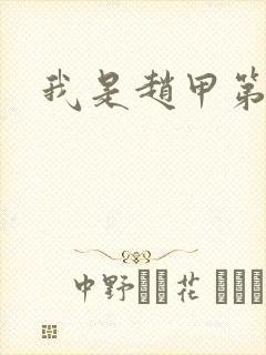 我是赵甲第小说