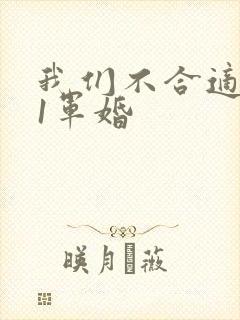 我们不合适1v1军婚