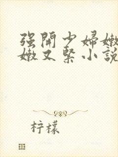 强开少妇嫩苞又嫩又紧小说