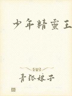 少年精灵王