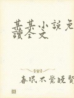 某某小说免费阅读全文