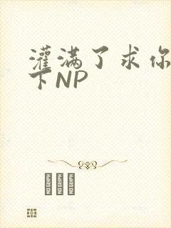 灌满了求你们停下NP