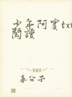 少年阿宾txt阅读