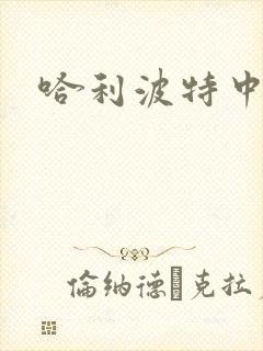 哈利波特中文版