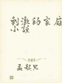 刺激的家庭乱仑小说