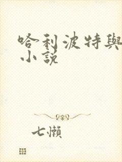 哈利波特与密室小说