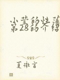 小莹的性荡生活第28的介绍封面