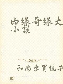 内缘奇缘大团圆小说