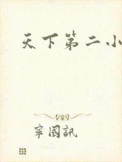 天下第二小说