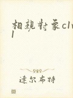 相亲对象c1v1