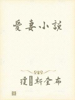 爱妻小说