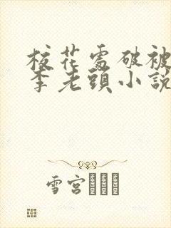 校花处破被灌满李老头小说