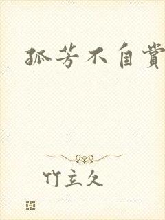 孤芳不自赏小说