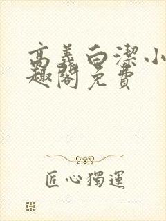 高义白洁小说笔趣阁免费封面