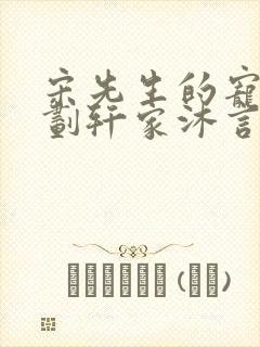 宋先生的宠妻计划轩家沐言