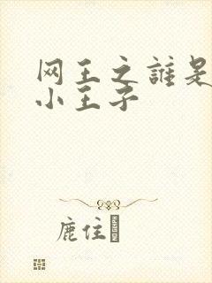 网王之谁是我的小王子封面
