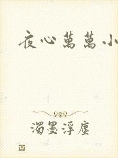 夜心万万小说