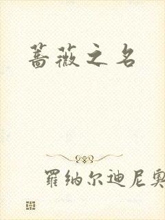 蔷薇之名