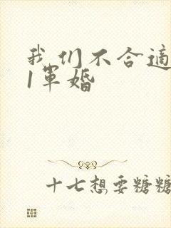 我们不合适1v1军婚