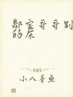 邻家哥哥别上我的床