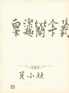 白洁txt全集笔趣阁下载封面