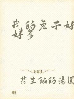 我的兔子好软水好多