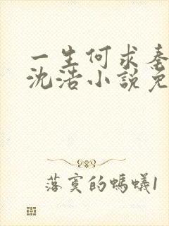 一生何求秦菲雪沈浩小说免费阅读全文