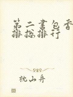 第二书包香辣肉排总排行