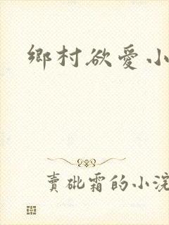 乡村欲爱小说封面