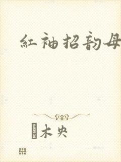 红袖招韵母攻略