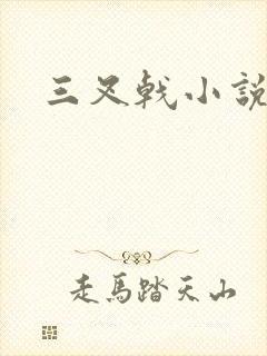 三叉戟小说