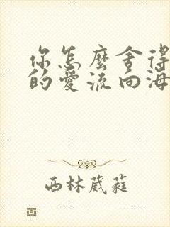 你怎么舍得让我的爱流向海