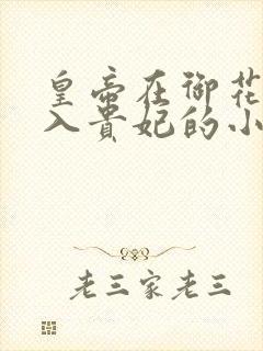 皇帝在御花园进入贵妃的小说