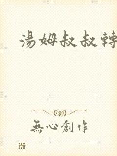 汤姆叔叔转接口