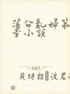 荡公乱妇第51章小说