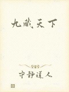 九藏天下