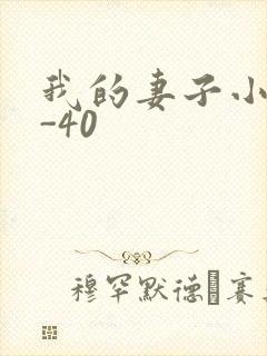 我的妻子小谨1-40