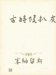 古时候扒灰小说