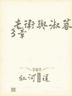 老卫与淑蓉第13章封面