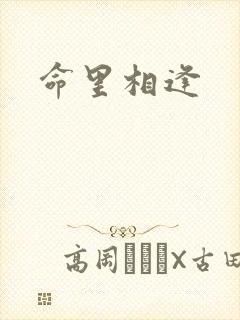 命里相逢