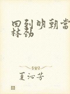 回到明朝当王爷林劲