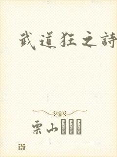 武道狂之诗