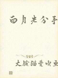 白月光分手日常